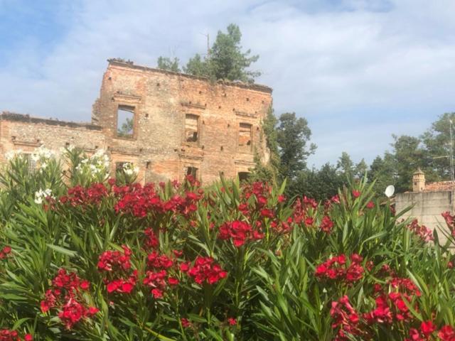 Bed and Breakfast Antico Borgo Di Liteggio Колоньо-аль-Серио Экстерьер фото